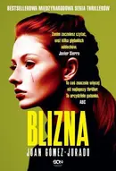 Book cover of Blizna