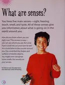 Book cover of What Happens When You Use Your Senses?