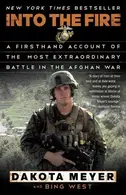 Book cover of Into the Fire