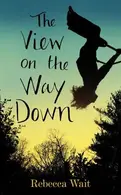 Book cover of The View on the Way Down