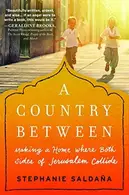 Book cover of A Country Between
