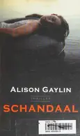 Book cover of Schandaal