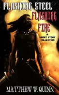Book cover of Flashing Steel, Flashing Fire