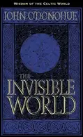 Book cover of The Invisible World