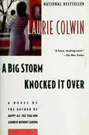 Book cover of A big storm knocked it over