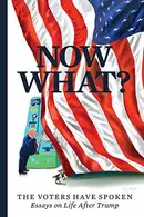 Book cover of Now What?