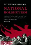 Book cover of National Bolshevism