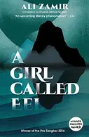 Book cover of A Girl Called Eel