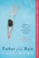 Book cover of Father of the rain