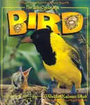 Book cover of The life cycle of a bird