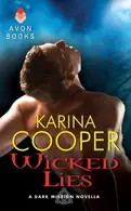Book cover of Wicked Lies: A Dark Mission Novella