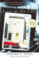 Book cover of Lost in the city