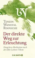 Book cover of Der direkte Weg zur Erleuchtung