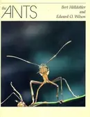 Book cover of The ants