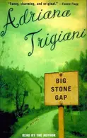 Book cover of Big Stone Gap