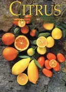 Book cover of Citrus