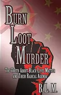 Book cover of Burn Loot Murder