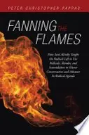 Book cover of Fanning the Flames