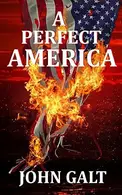 Book cover of A Perfect America