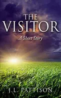 Book cover of The Visitor