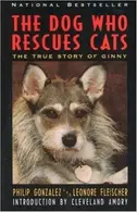 Book cover of The Dog Who Rescues Cats: The True Story of Ginny