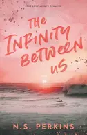 Book cover of The Infinity Between Us