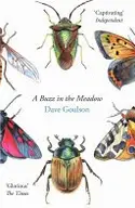 Book cover of A Buzz in the Meadow