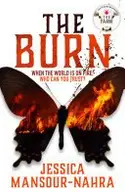 Book cover of The Burn