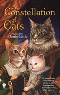 Book cover of A constellation of cats