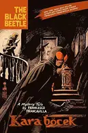 Book cover of Black Beetle Kara Bocek