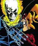 Book cover of Wolverine: Origins & Endings