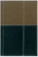 Book cover of NIV Study Bible
