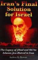 Book cover of Iran's final solution for Israel