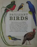 Book cover of Brilliant Birds