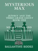 Book cover of Mysterious Max