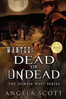 Book cover of Wanted