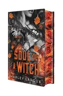 Book cover of Soul of a Witch