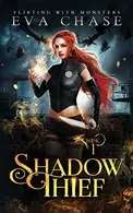 Book cover of Shadow Thief
