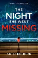 Book cover of Night She Went Missing
