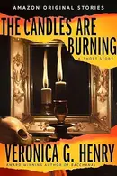 Book cover of Into Shadow collection