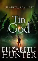Book cover of Tin God