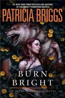 Book cover of Burn bright
