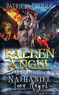 Book cover of Fallen Angel