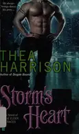Book cover of Storm's heart