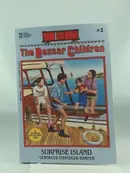Book cover of Surprise Island