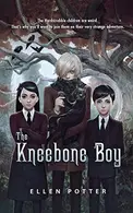 Book cover of The Kneebone Boy