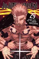 Book cover of Jujutsu Kaisen, Vol. 29