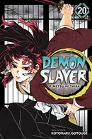 Book cover of Demon Slayer: Kimetsu no Yaiba, Vol. 20