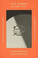 Book cover of Last Summer in the City