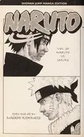 Book cover of Naruto, Vol. 20
